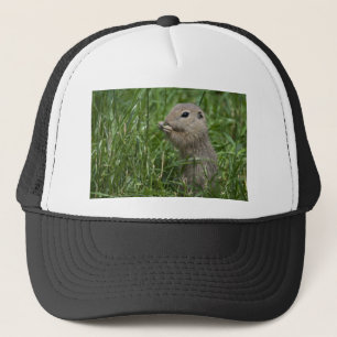 Europese grondeekhoorn trucker pet