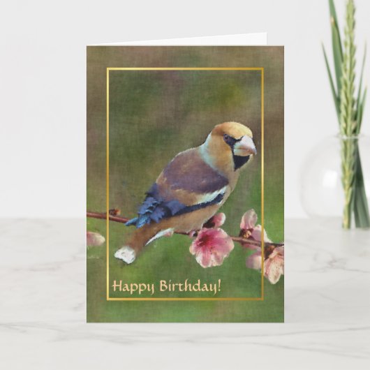 Europese haagvink digitale schilderkunst kaart (Voorkant)