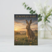 Europese Haas Weide DIEREN Briefkaart (Staand voorkant)
