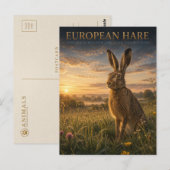 Europese Haas Weide DIEREN Briefkaart (Voorkant / Achterkant)