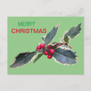 Europese Holly Merry Christmas Cust. Briefkaart