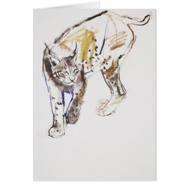 Europese Lynx (Voorkant)