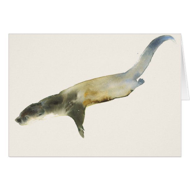 Europese otter (Voorkant Horizontaal)