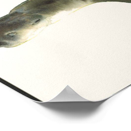 Europese otter poster (Hoek)