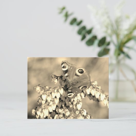 Europese pacockvlinder briefkaart (Staand voorkant)