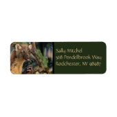 Europese pine Marten Etiket (Voorkant)