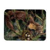 Europese pine Marten Magneet (Horizontaal)