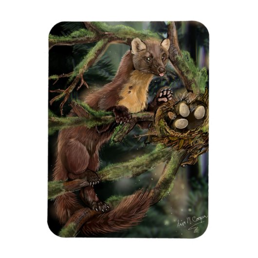 Europese pine Marten Magneet (Verticaal)