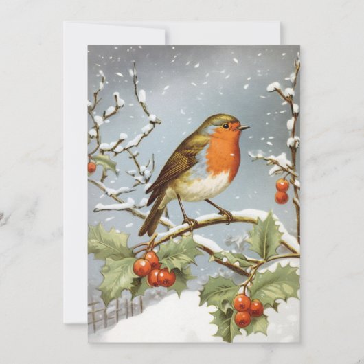 Europese Robin Bird Holly Sneeuw Kerstvakantie Feestdagenkaart (Voorkant)
