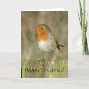 Europese Robin Christmas Kaart