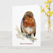 Europese Robin die op kerstkaart kijkt Kaart (Gele Bloem)