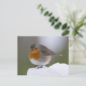 Europese Robin in sneeuwkaart Briefkaart (Staand voorkant)