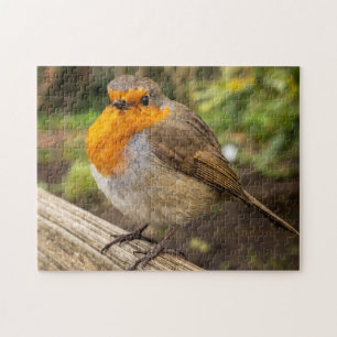 Europese Robin Jigzaag Puzzle Legpuzzel