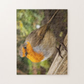 Europese Robin Jigzaag Puzzle Legpuzzel (Verticaal)