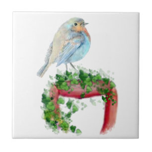 Europese Robin, Vogel, Waterverf Vogel, Natuur Tegeltje