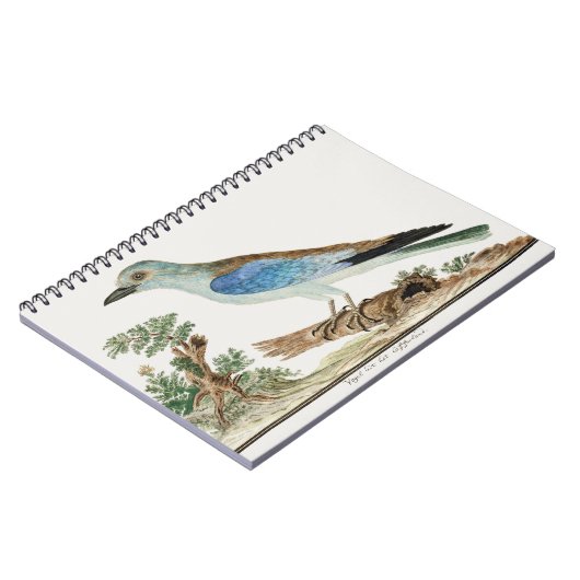 Europese roller notitieboek (Linkerzijde)