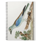 Europese roller notitieboek (Voorkant)