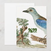 Europese rolzaag Blue Birds Kaart (Voorkant / Achterkant)