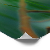 Europese rover poster (Hoek)