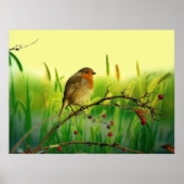 Europese rover poster (Voorkant)