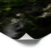 Europese schildpad perfect poster (Hoek)