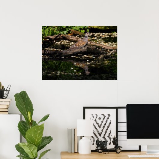 Europese schildpad poster (Thuiskantoor)