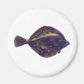 Europese schol magneet (Voorkant)