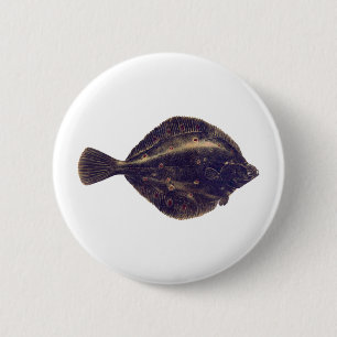Europese schol ronde button 5,7 cm