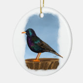 Europese spreeuw Ornament (Links)