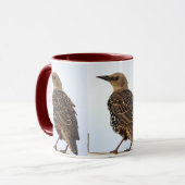 Europese Spreeuw Vogel Mok (Voorkant links)