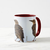 Europese Spreeuw Vogel Mok (Voorkant rechts)