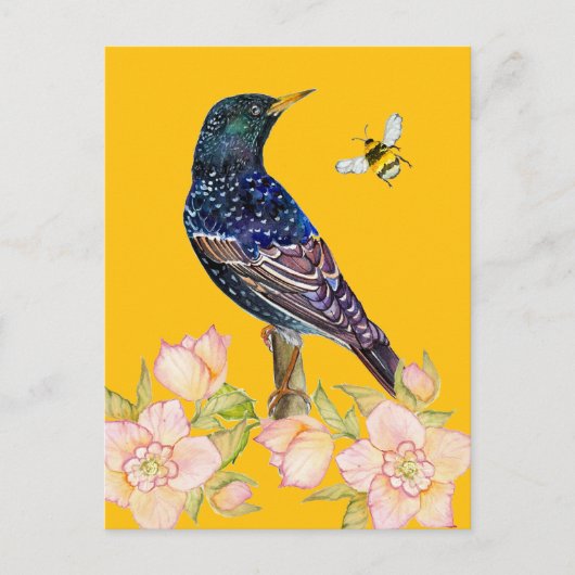 Europese Spreeuw Watervogel Schildering Briefkaart (Voorkant)