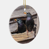 Europese Starlings Keramisch Ornament (Rechts)