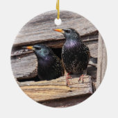 Europese Starlings Keramisch Ornament (Achterkant)