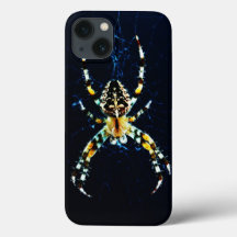 Europese Tuin Spin Iphcna