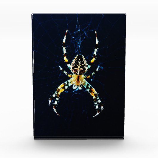 Europese Tuin Spin pbcnm Fotoblokken (Voorkant)