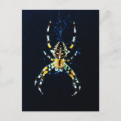 Europese Tuin Spin pccna Briefkaart (Voorkant)