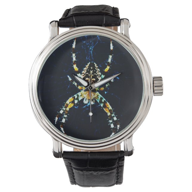Europese Tuinspin was Horloge (Voorkant)
