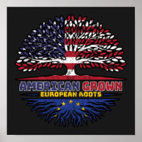 Europese Unie Europa Verenigde Staten Verenigde St