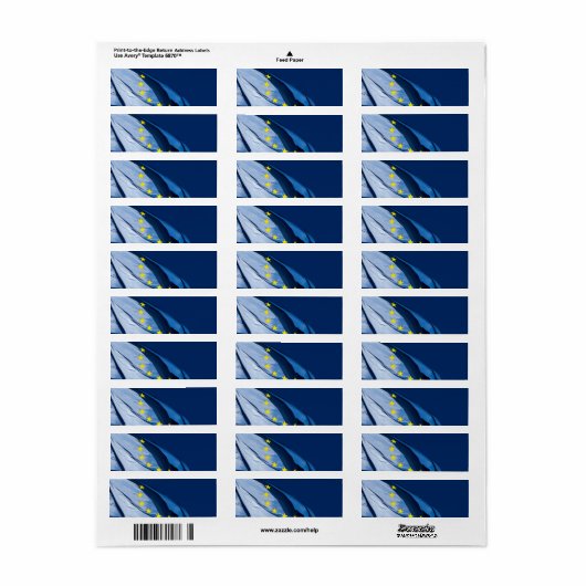 Europese vlag etiket (Full Sheet)