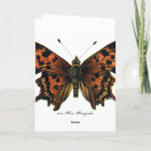 Europese vlinder met Poppy Wenskaart Kaart (Achterkant)