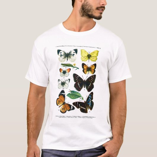 Europese Vlinders Bord II T-shirt (Voorkant)