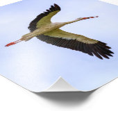 Europese witte ooievaar foto afdruk (Hoek)