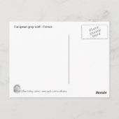 Europese Wolf Briefkaart (Achterkant)