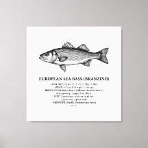 Europese Zeebaars Branzino Vintage
