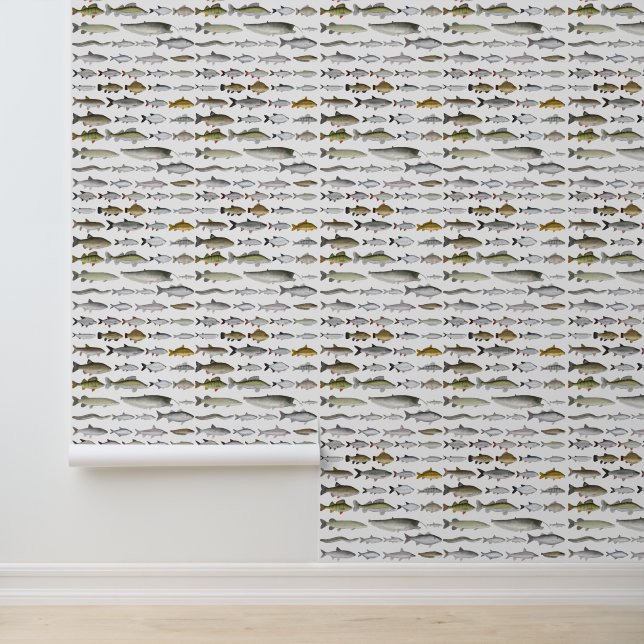 Europese zoetwatervisgroep behang (Applicatie)