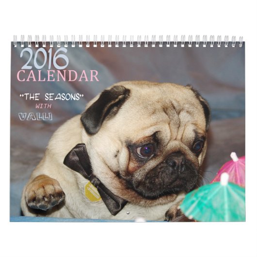Europug Calendar 2016 "The Seasons with Valli" Kalender (Hoes)