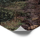 Eurostar-reizigerstrein Poster (Hoek)