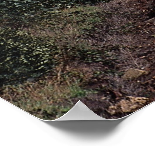 Eurostar-reizigerstrein Poster (Hoek)