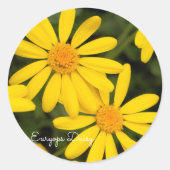 Euryops Daisy [Round Seal] Ronde Sticker (Voorkant)